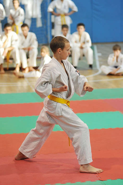 Nowy Targ: Młodzieżowy Turniej Karate Kyokushin