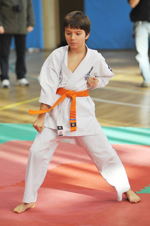 Nowy Targ: Młodzieżowy Turniej Karate Kyokushin