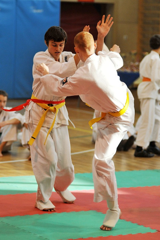 Nowy Targ: Młodzieżowy Turniej Karate Kyokushin