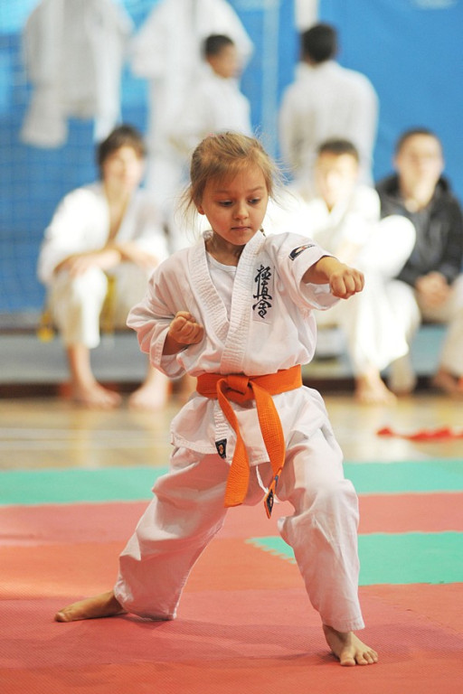 Nowy Targ: Młodzieżowy Turniej Karate Kyokushin