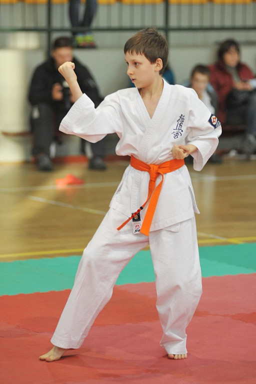 Nowy Targ: Młodzieżowy Turniej Karate Kyokushin
