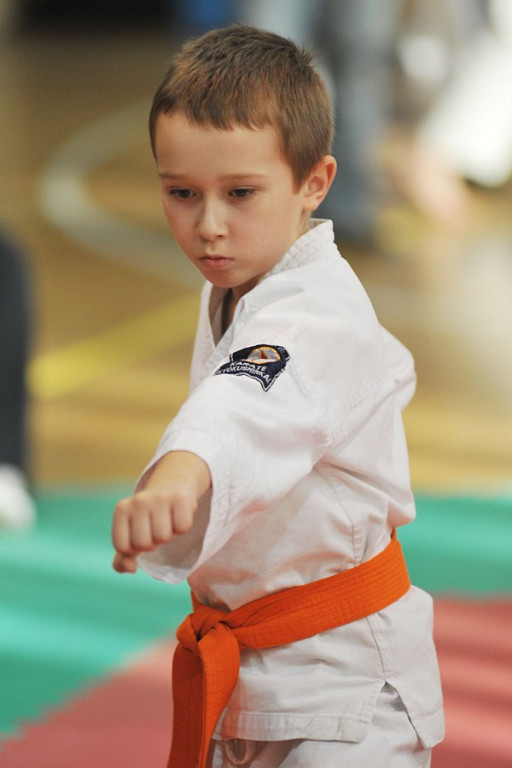 Nowy Targ: Młodzieżowy Turniej Karate Kyokushin