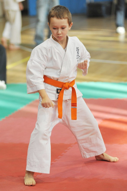 Nowy Targ: Młodzieżowy Turniej Karate Kyokushin
