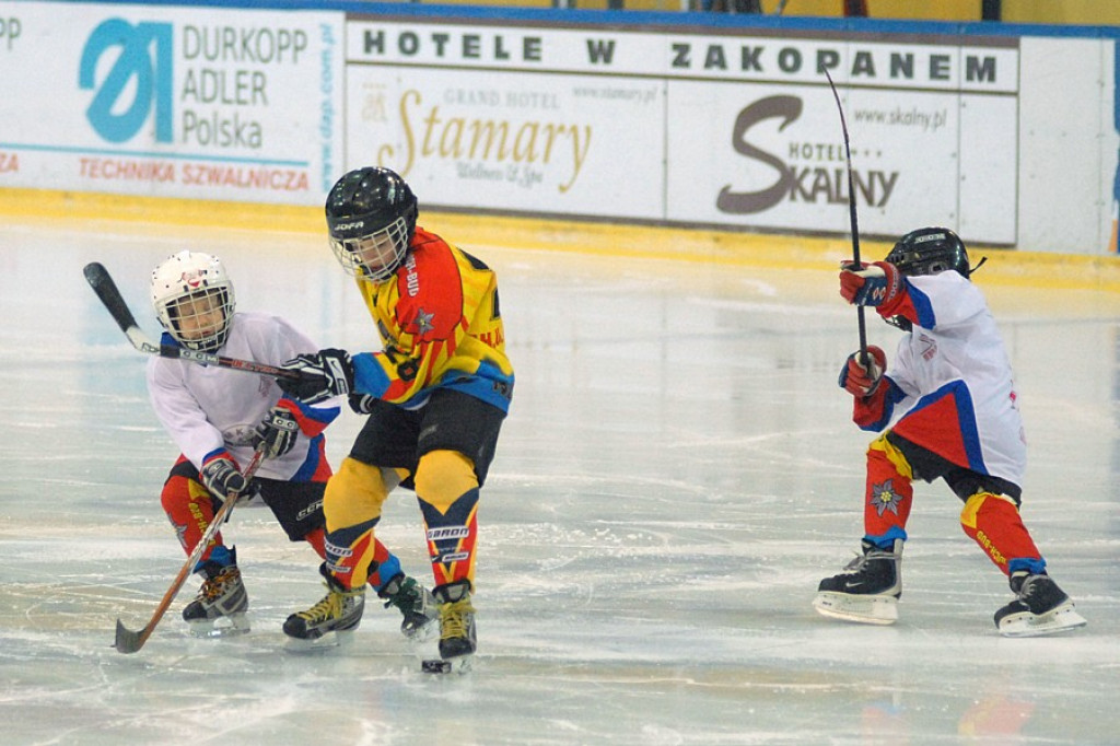 Wojas Podhale - GKS Tychy