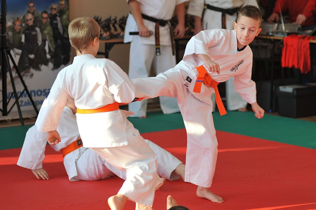 Kościelisko: Turniej karate dla dzieci