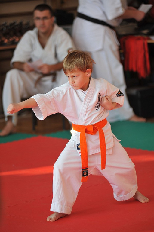 Kościelisko: Turniej karate dla dzieci