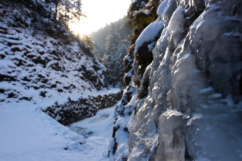 Tatry: Popołudnie na Drodze nad Reglami