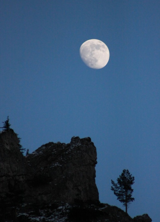 Tatry: Popołudnie na Drodze nad Reglami