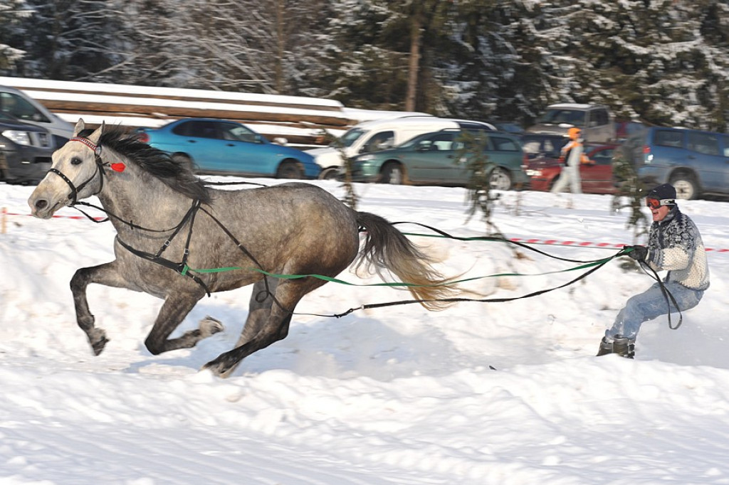 Kościelisko: Kumoterska Gońba