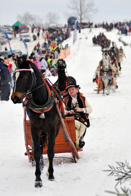 Parada Gazdowska i Kumoterska Gońba w Bukowinie