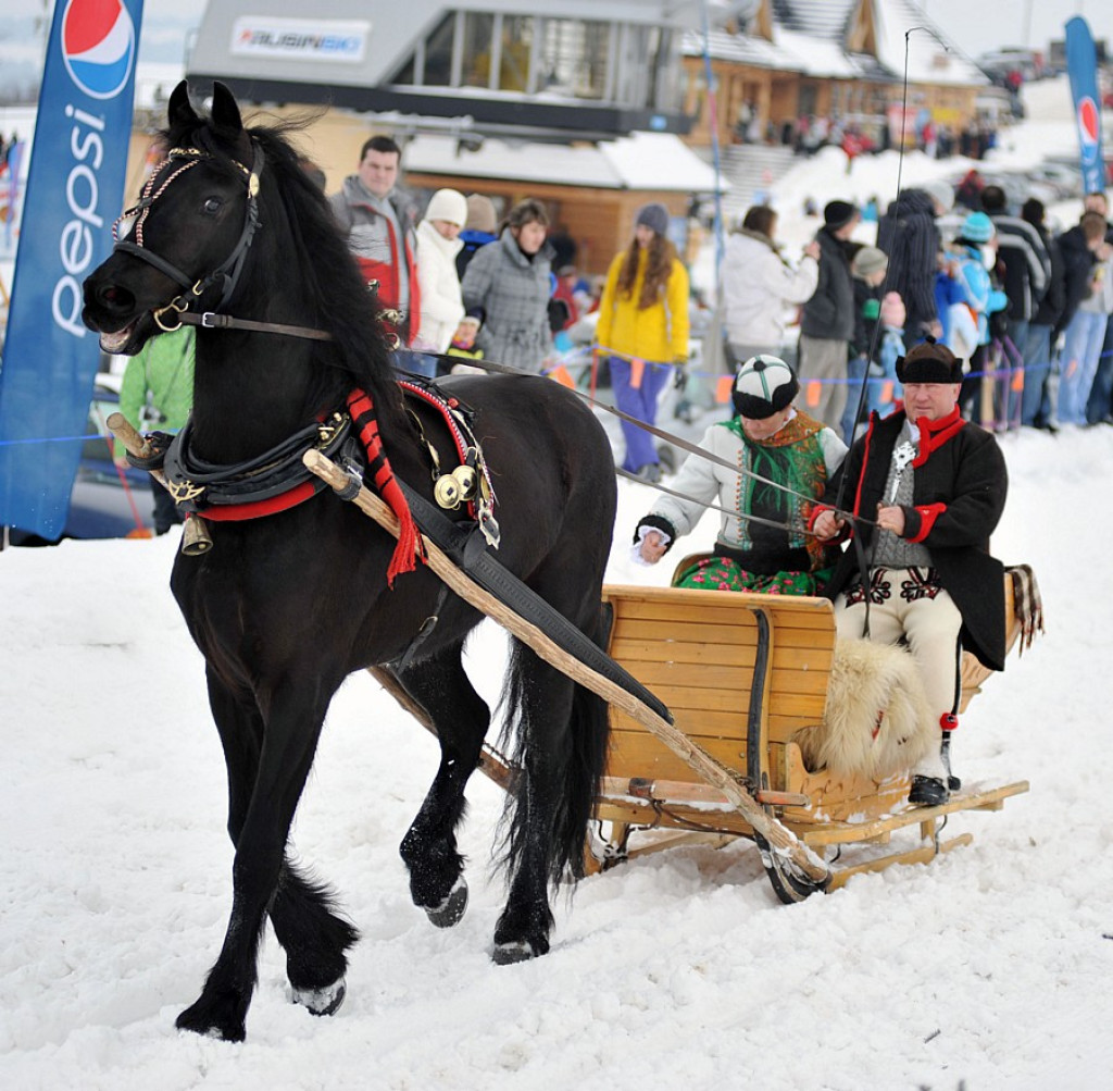 Parada Gazdowska i Kumoterska Gońba w Bukowinie