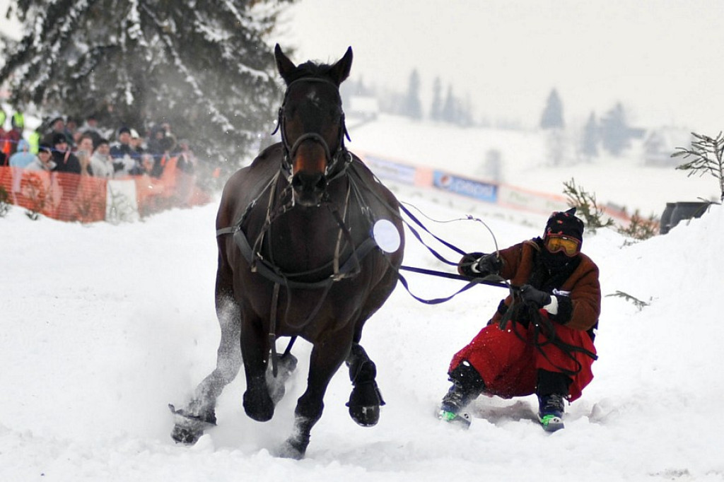Parada Gazdowska i Kumoterska Gońba w Bukowinie