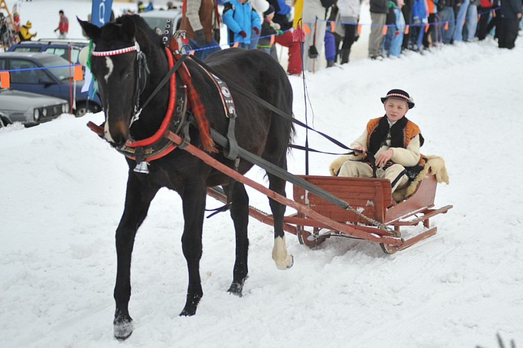 Parada Gazdowska i Kumoterska Gońba w Bukowinie