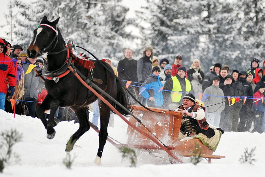 Parada Gazdowska i Kumoterska Gońba w Bukowinie