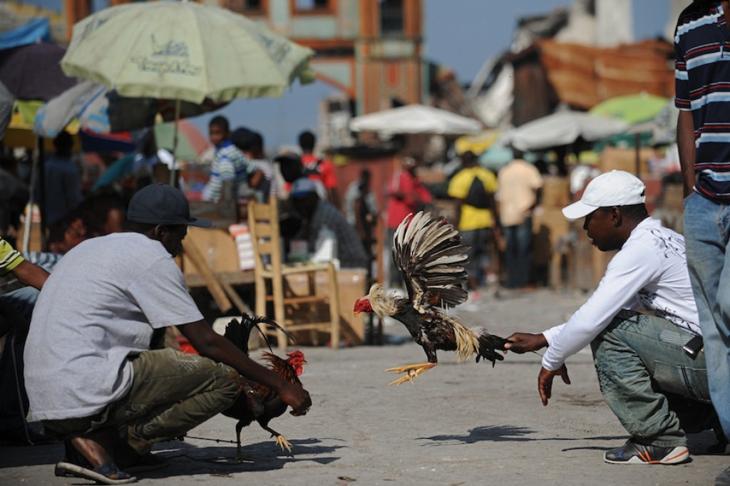 Haiti: Miesiąc po katakliźmie