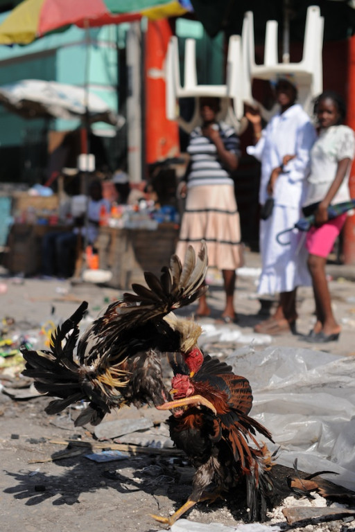 Haiti: Miesiąc po katakliźmie