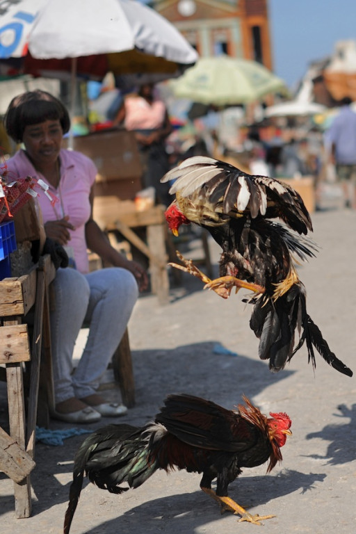 Haiti: Miesiąc po katakliźmie
