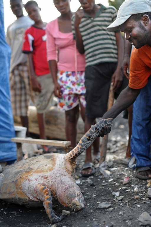 Haiti: Miesiąc po katakliźmie