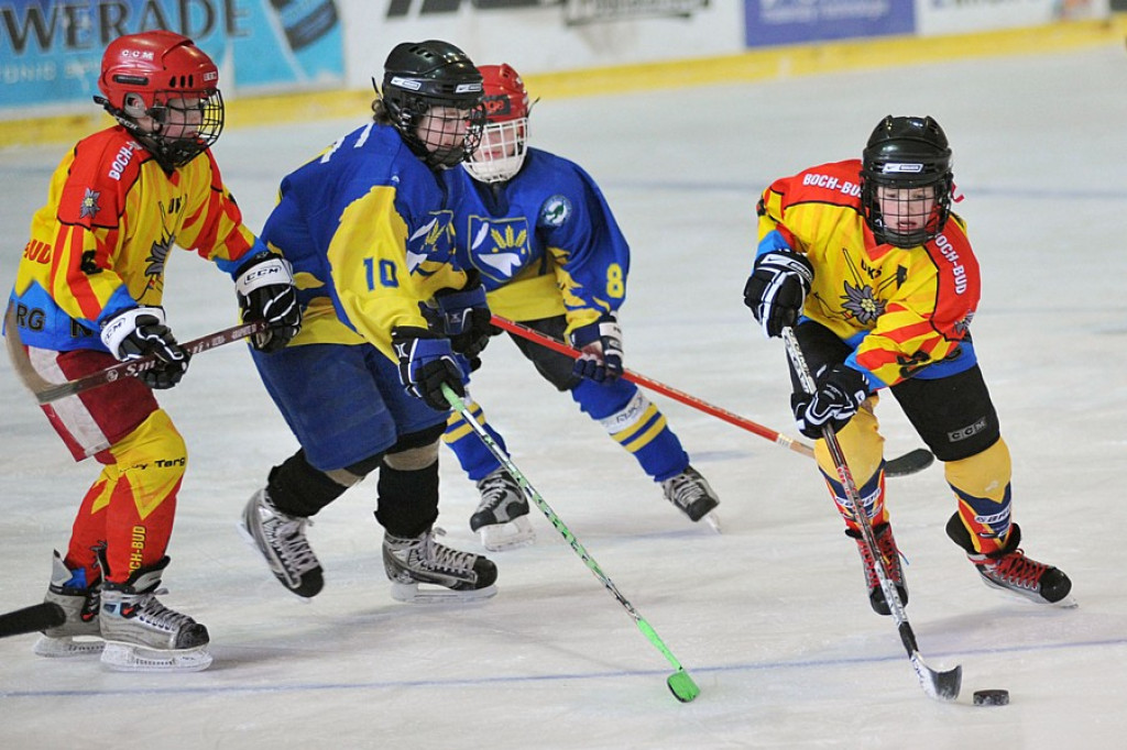 PODHALE CUP 2010: Zmagania młodych hokeistów