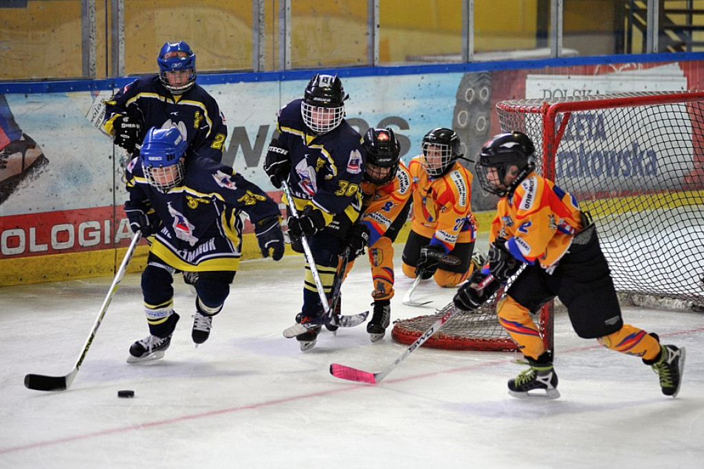 PODHALE CUP 2010: Zmagania młodych hokeistów