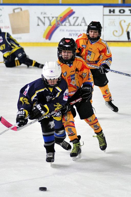 PODHALE CUP 2010: Zmagania młodych hokeistów