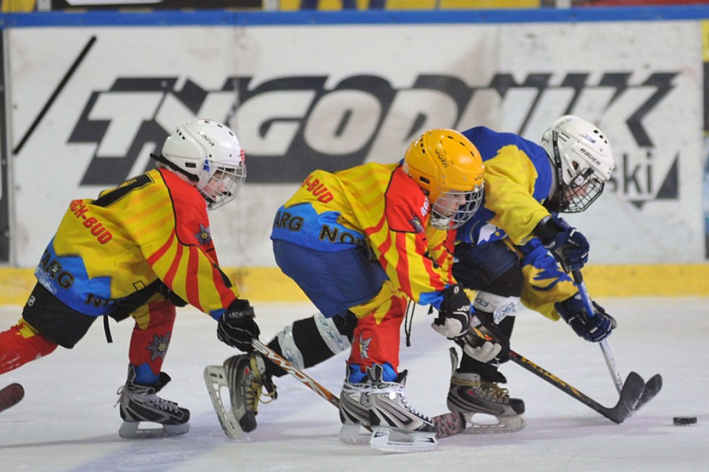 PODHALE CUP 2010: Zmagania młodych hokeistów