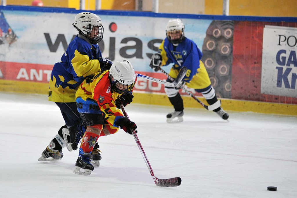 PODHALE CUP 2010: Zmagania młodych hokeistów