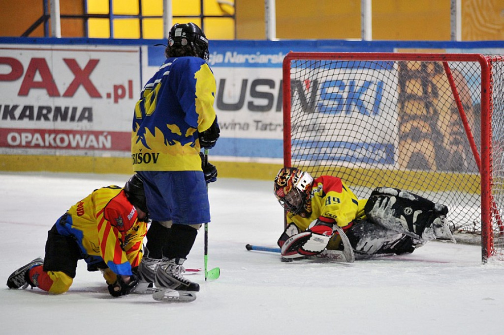 PODHALE CUP 2010: Zmagania młodych hokeistów