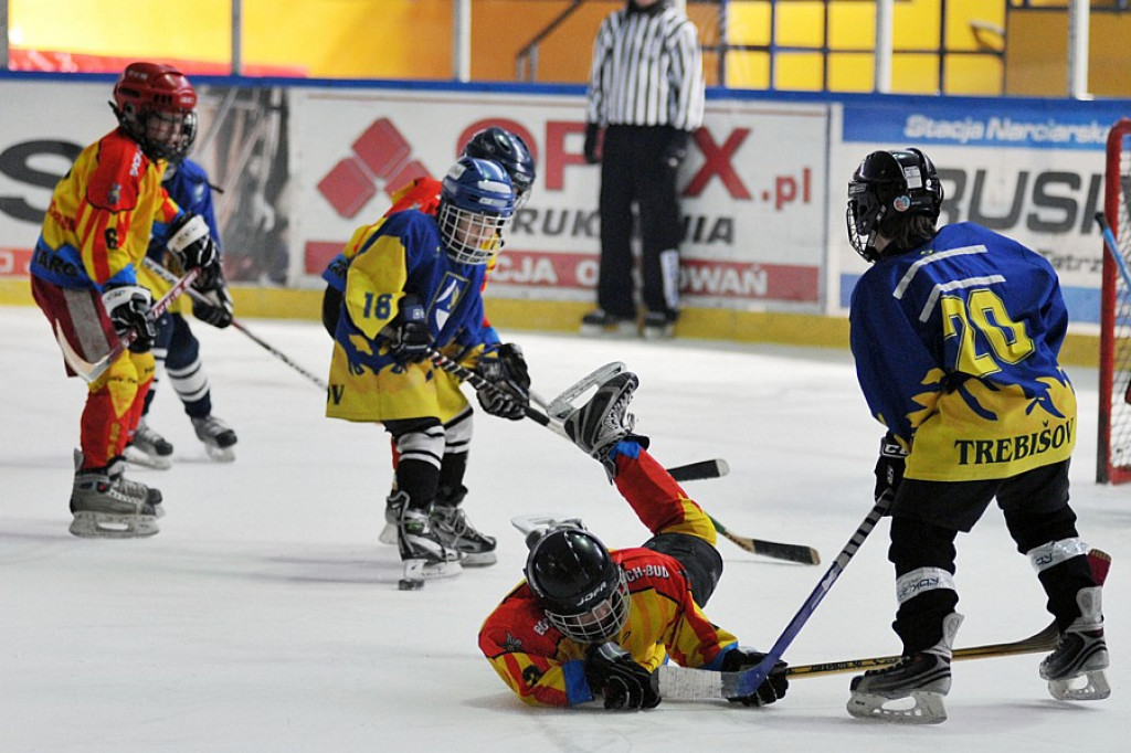 PODHALE CUP 2010: Zmagania młodych hokeistów