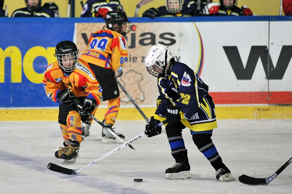 PODHALE CUP 2010: Zmagania młodych hokeistów