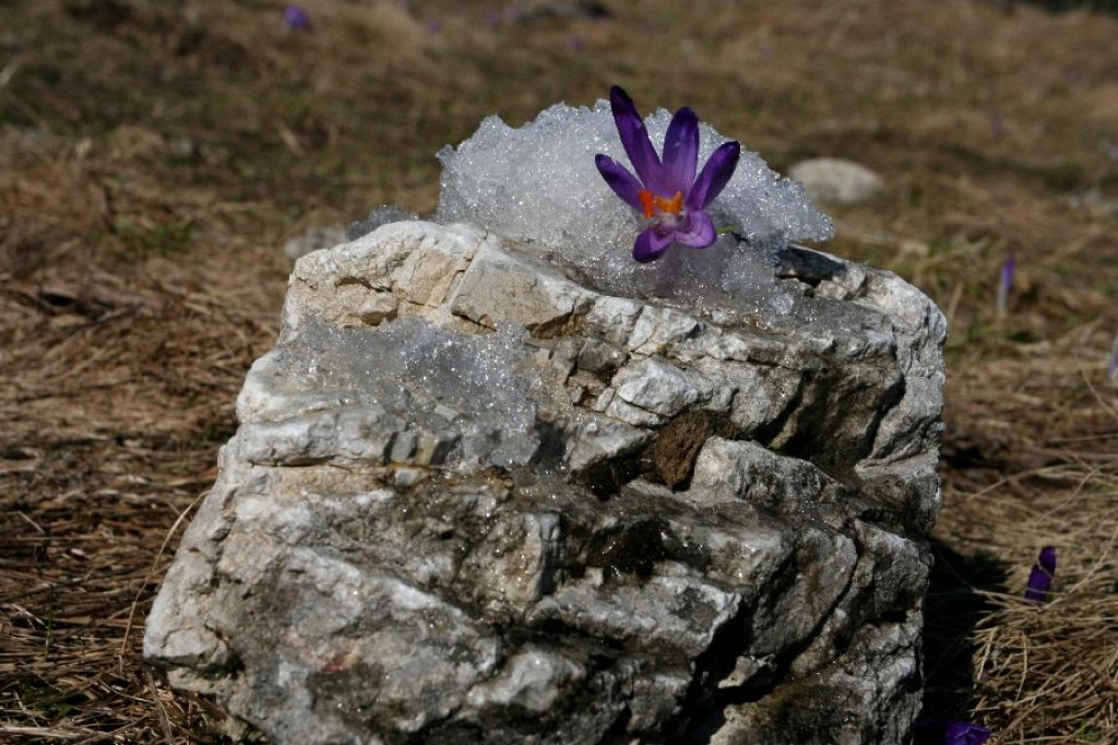 Wiosna powoli zdobywa Tatry