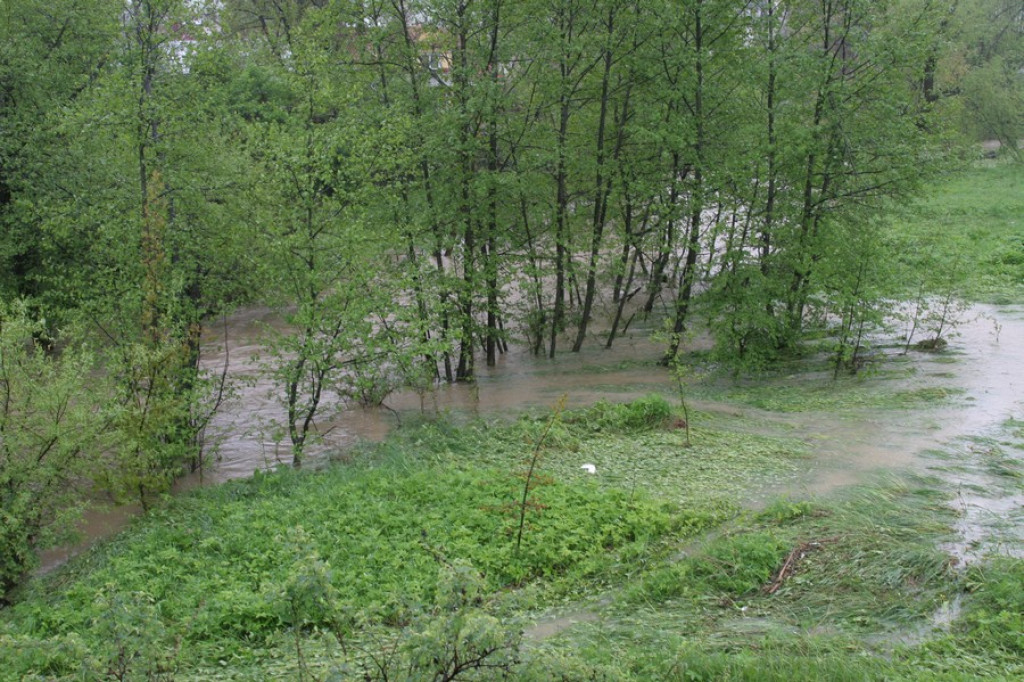Zalane Krempachy, wezbrana Białka