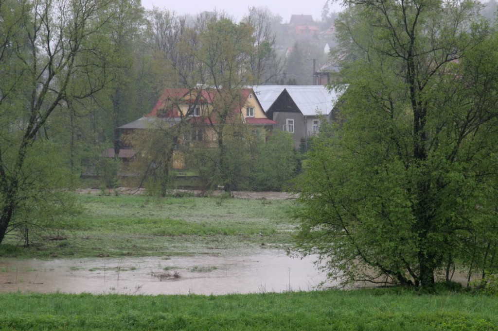Zalane Krempachy, wezbrana Białka
