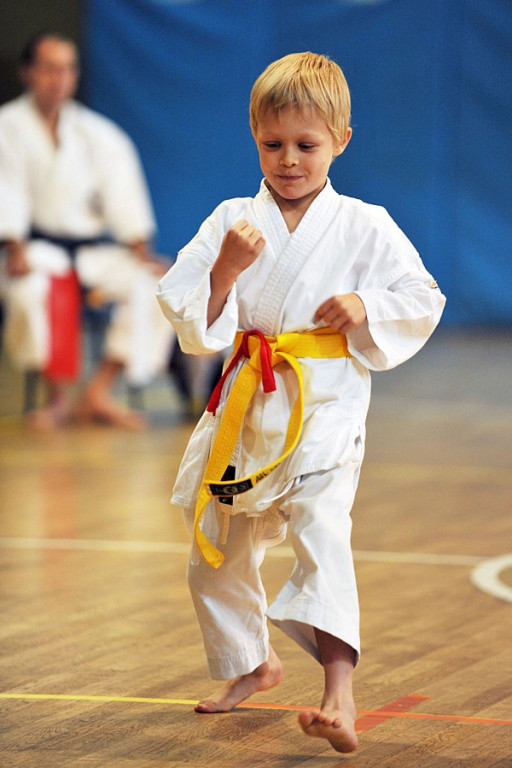 Turniej w karate tradycyjnym
