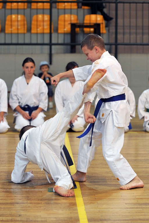 Turniej w karate tradycyjnym