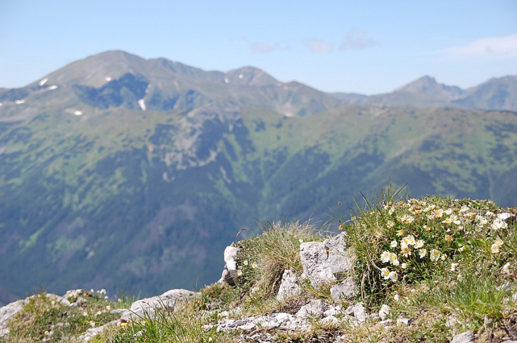 Ukwiecone Czerwone Wierchy
