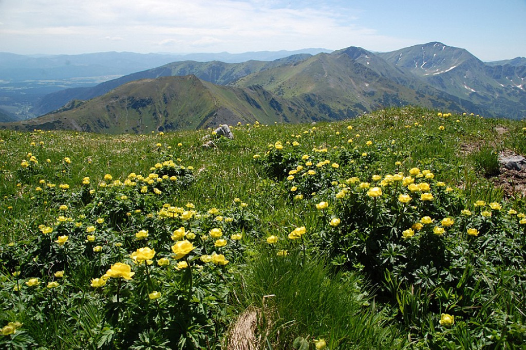Ukwiecone Czerwone Wierchy