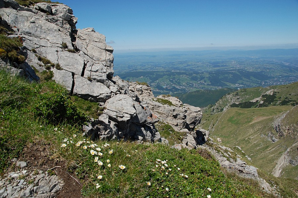 Ukwiecone Czerwone Wierchy