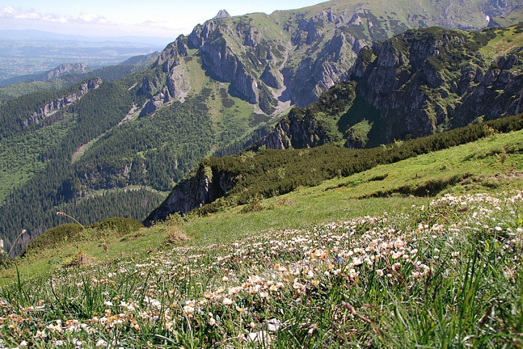 Ukwiecone Czerwone Wierchy