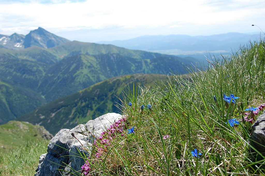 Ukwiecone Czerwone Wierchy