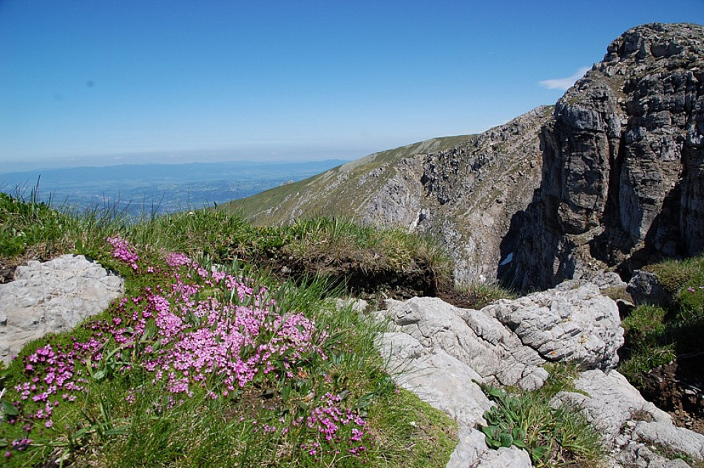 Ukwiecone Czerwone Wierchy