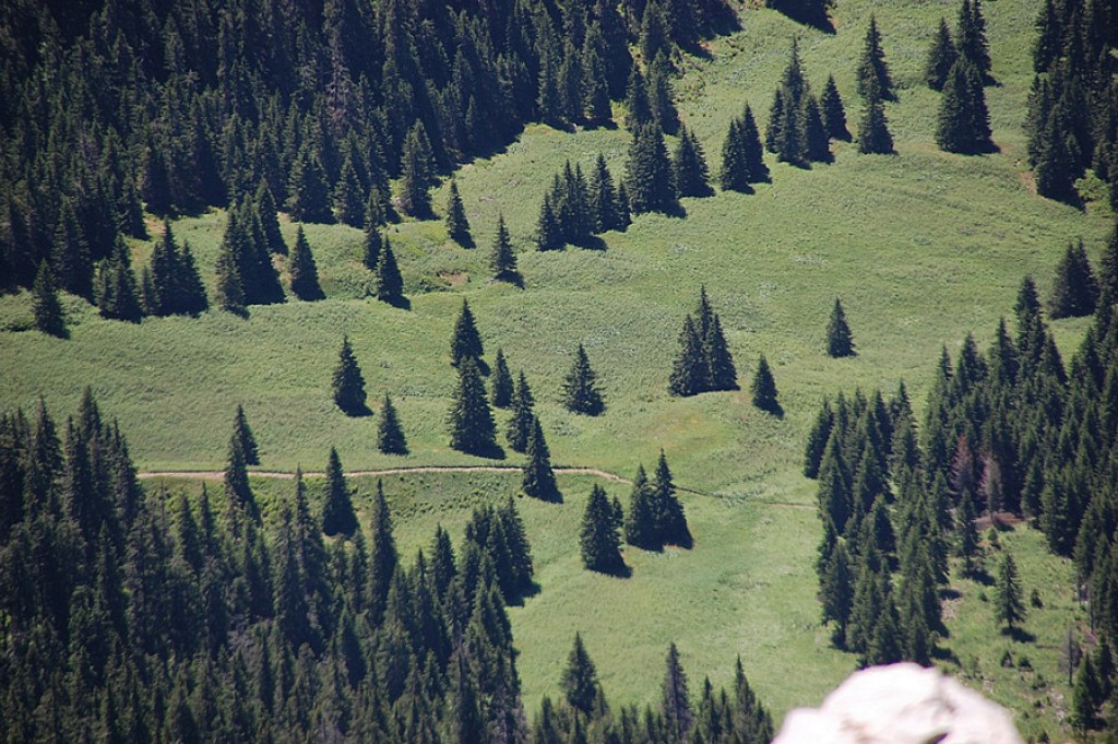 Ukwiecone Czerwone Wierchy