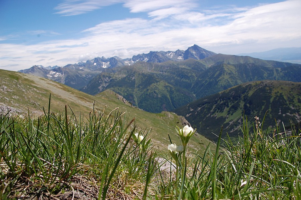 Ukwiecone Czerwone Wierchy
