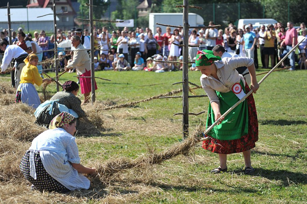 Biały Dunajec: Wybory Nojśwarniyjsyj Górolecki