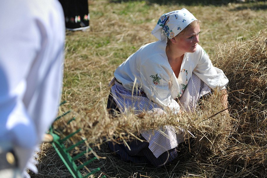 Biały Dunajec: Wybory Nojśwarniyjsyj Górolecki