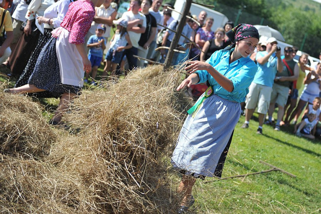 Biały Dunajec: Wybory Nojśwarniyjsyj Górolecki