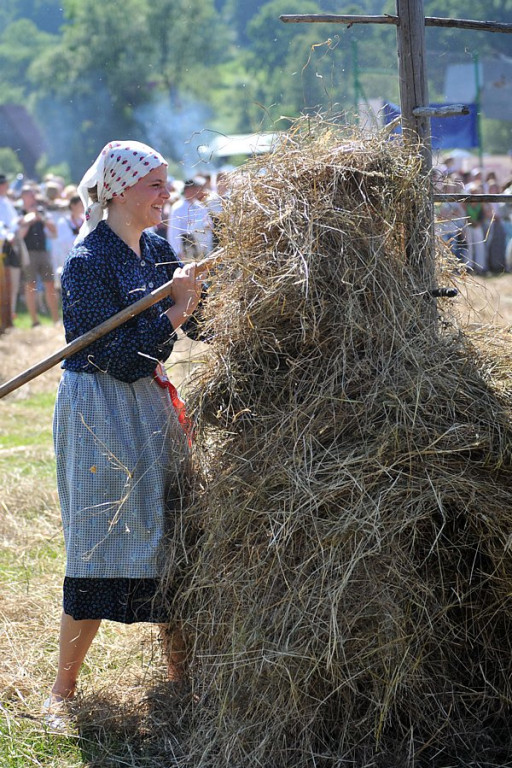 Biały Dunajec: Wybory Nojśwarniyjsyj Górolecki