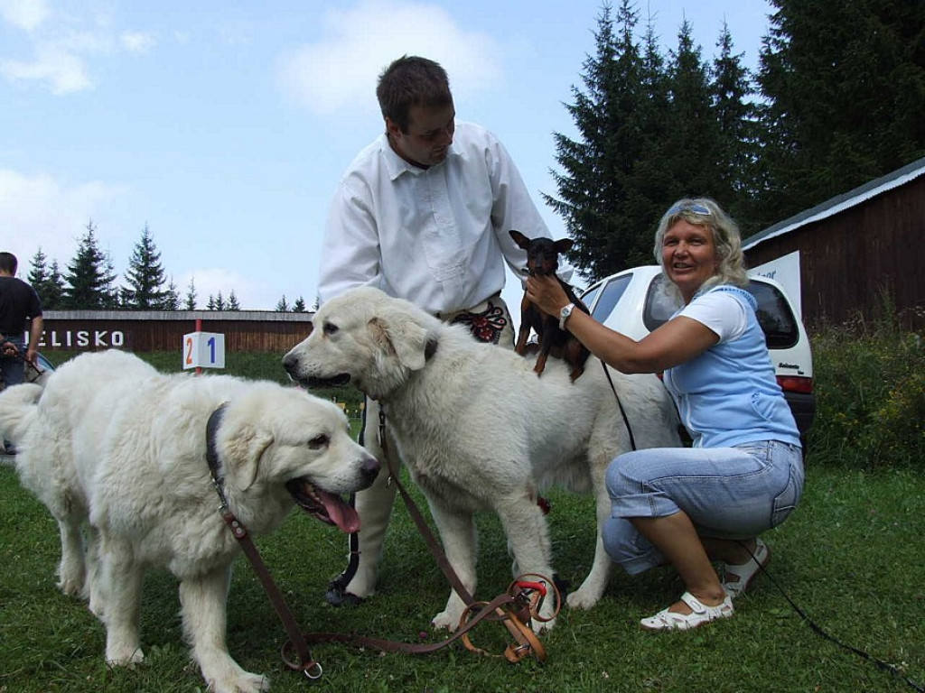 Tatrzańska Wystawa Psów