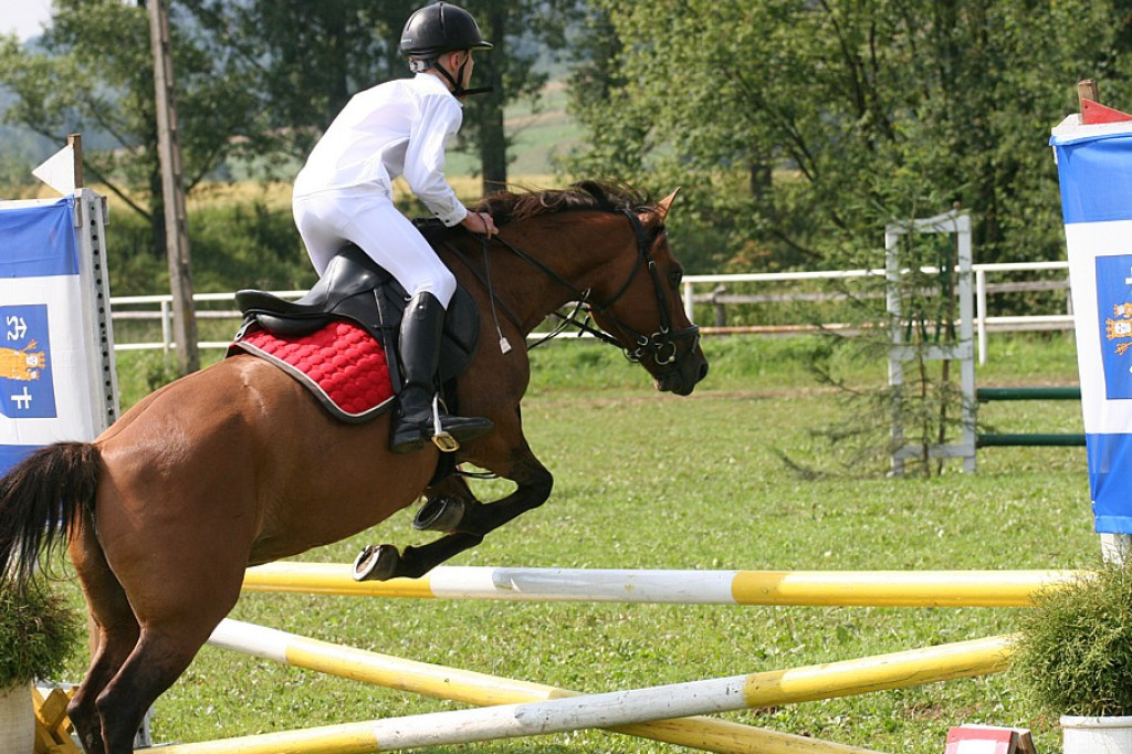 Łopuszna: 12. Zawody w Skokach Przez Przeszkody
