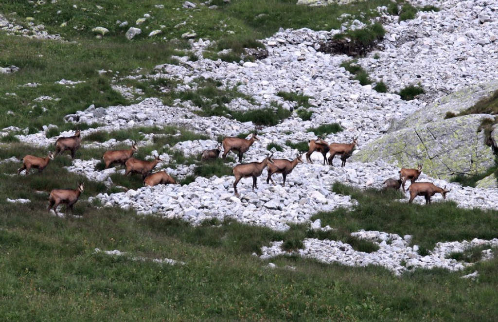 Dolina Jaworowa: Piękna i opustoszała